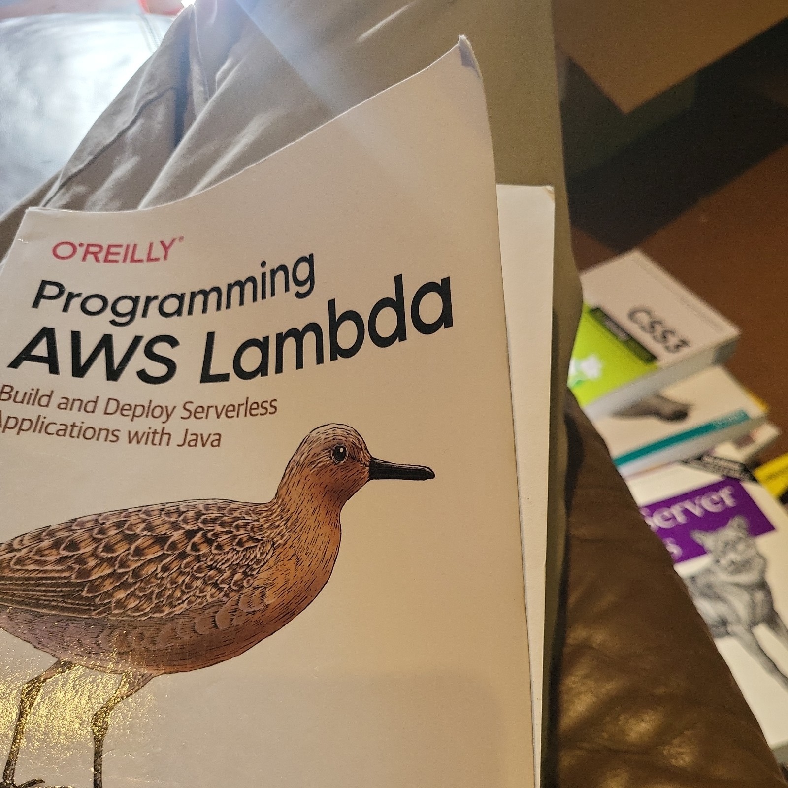Programming AWS Lambda : Build and Deploy Serverless Applications with Java…