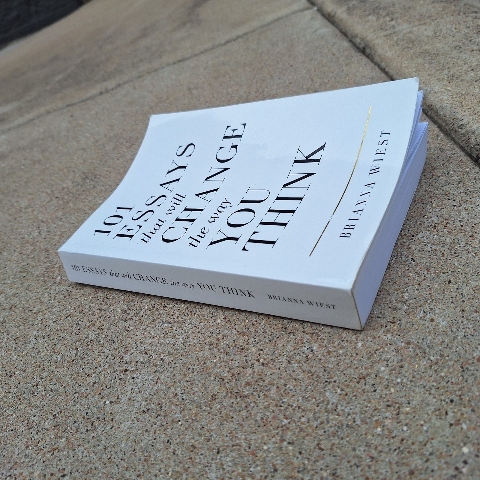 101 Essays That Will Change The Way You Think