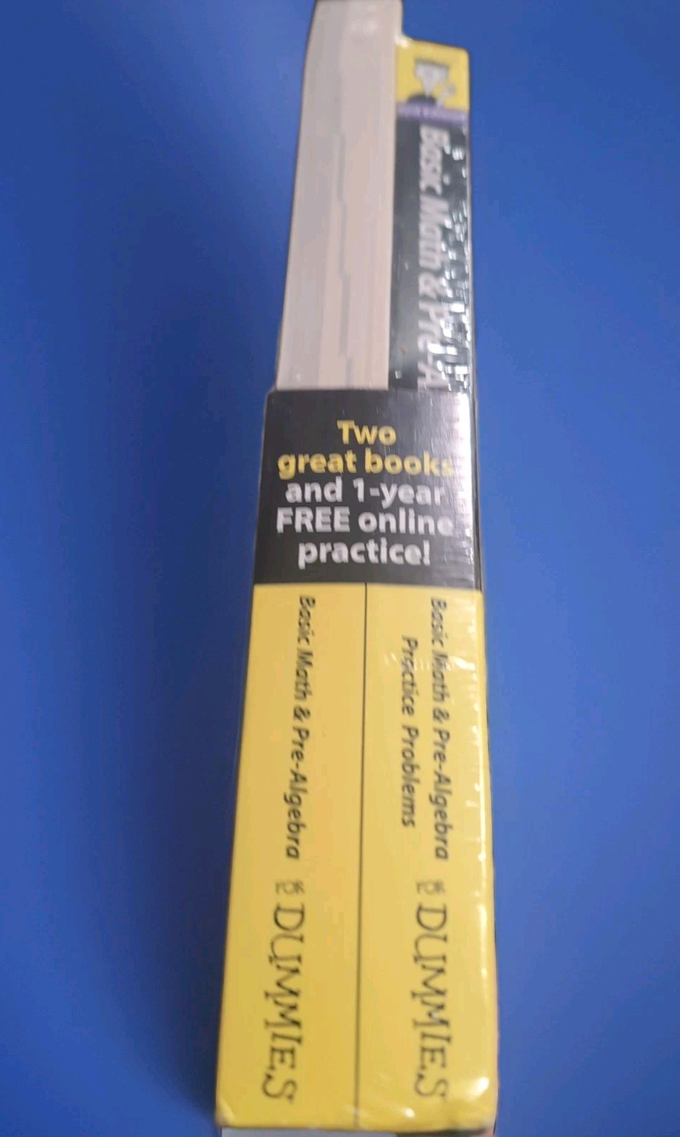 BASIC MATH PRE-ALGEBRA For Dummies Practice Problems 2nd Edition New Easier