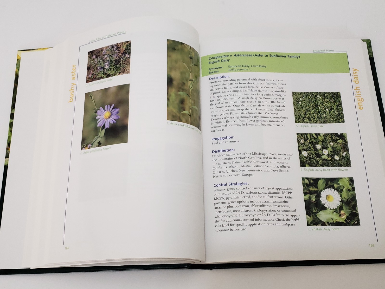 Color Atlas of Turfgrass Weeds Second Edition – NO CD – Hardcover Identification