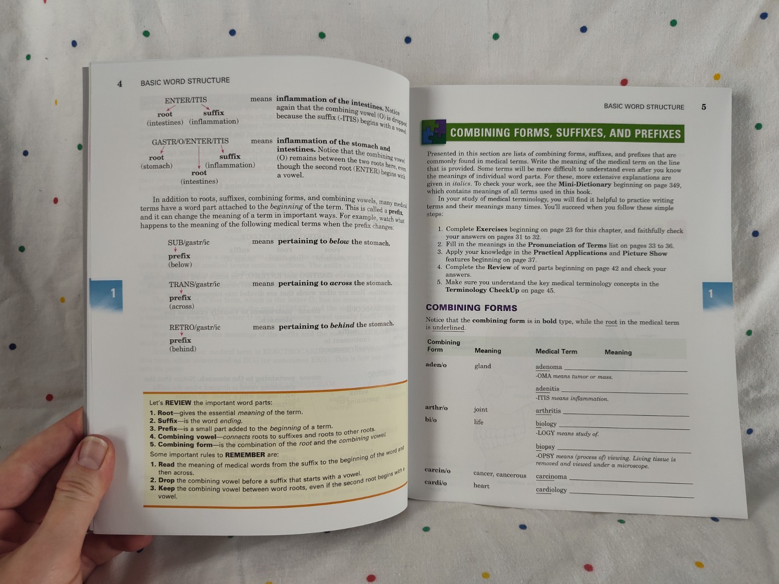 Medical Terminology A Short Course By Davi-Ellen Chabner 8th Edition ST46