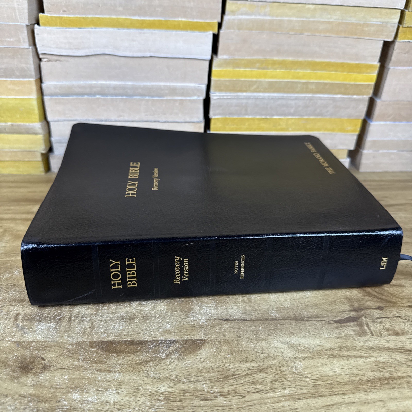 HOLY BIBLE: RECOVERY VERSION By Living Stream Ministry – First Edition 2003