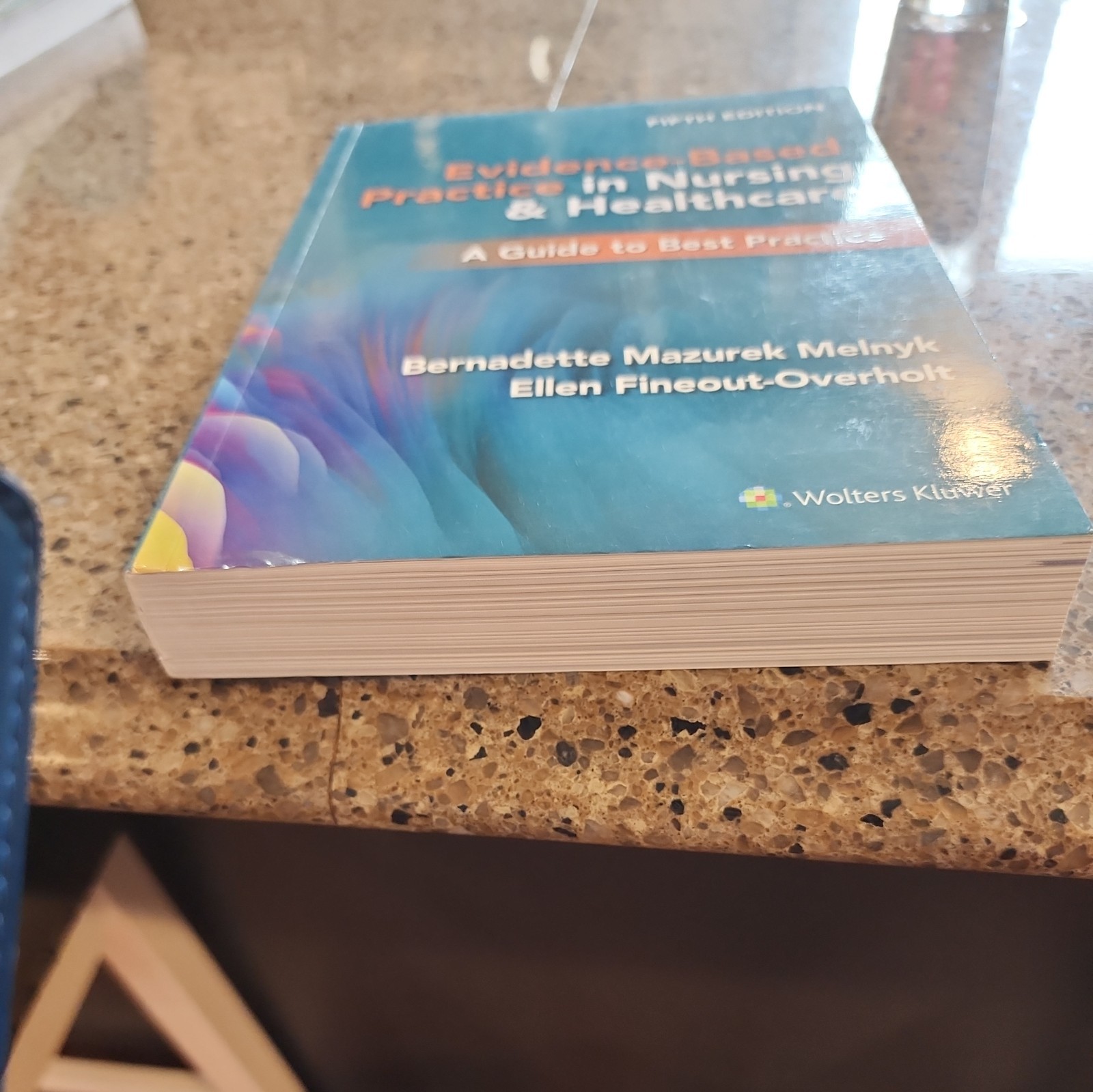 Evidence Based Practice In Nursing & Healthcare 5th Edition Paperback