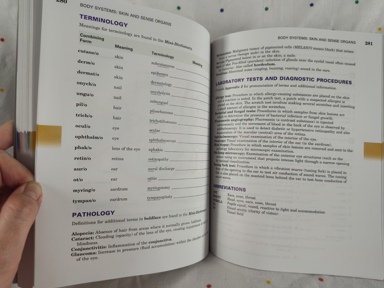 Medical Terminology A Short Course By Davi-Ellen Chabner 8th Edition ST46